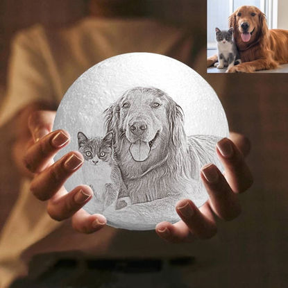 Picture of Magic 3D Personalized Photo Moon Lamp with Touch Control for Pets (10cm-20cm) | Customized Moon Lamp With Photo & Text | Best Gifts Idea for Pet Lover for Birthday, Thanksgiving, Christmas etc.