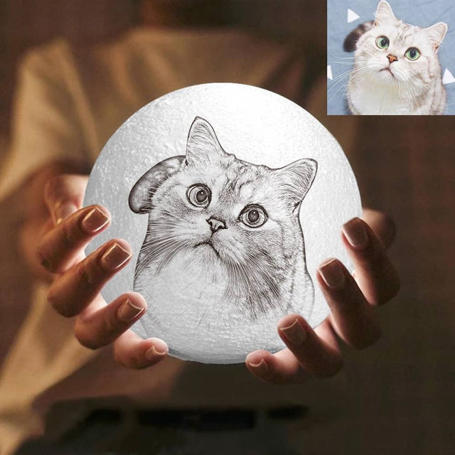 Picture of Magic 3D Personalized Photo Moon Lamp with Touch Control for Lovely Pets (10cm-20cm) | Customized Moon Lamp With Photo & Text | Best Gifts Idea for Birthday, Thanksgiving, Christmas etc.