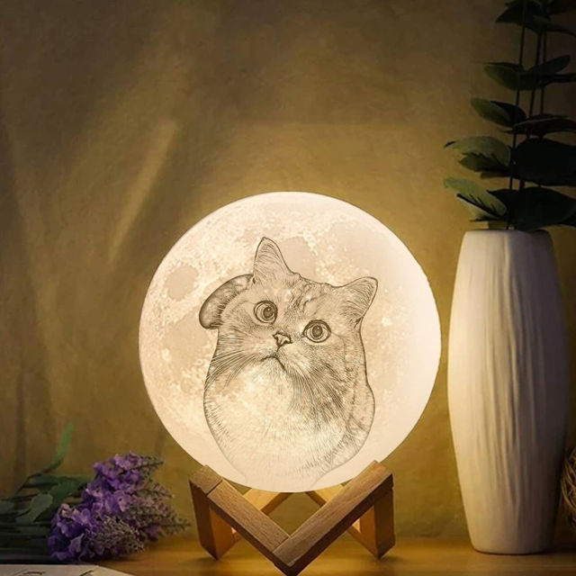 Picture of Magic 3D Personalized Photo Moon Lamp with Touch Control for Lovely Pets (10cm-20cm) | Customized Moon Lamp With Photo & Text | Best Gifts Idea for Birthday, Thanksgiving, Christmas etc.