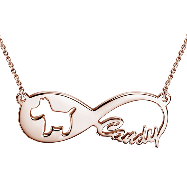 Picture of Dog Infinity Name Necklace 14K Gold Plated - Customize With Any Name or Birthstone | Custom Name Necklace 925 Sterling Silver