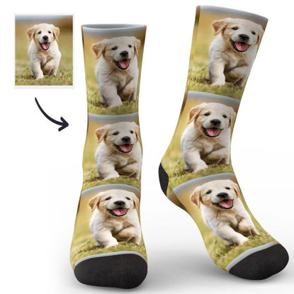 Picture of Customize Your Face Socks For Your Pet - Personalized Funny Photo Face Socks for Men & Women - Best Gift for Family