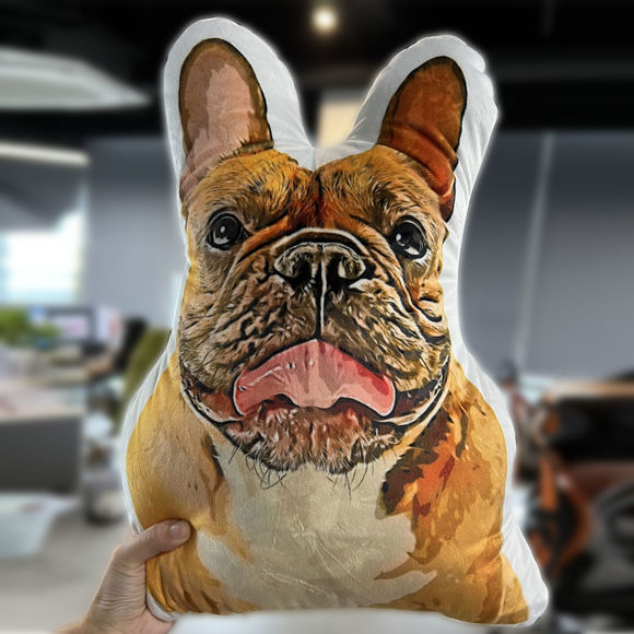 Picture of Custom 3D Cartoon Drawing Pillow｜Personalize With Your Lovely Pet｜Personalize With Your Family and Friends｜Best Gift Idea for Birthday, Thanksgiving, Christmas etc.