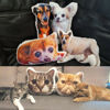 Picture of Custom 3D Cat Pillow｜Personalize With Your Lovely Pet ｜Best Gift Idea for Birthday, Thanksgiving, Christmas etc.