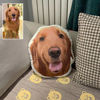 Picture of Personalized Dog Face Photo Pillow, College Student Gift, Pet Loss, High School Graduation Gift, Mother's Day Gift｜Best Gift Idea for Birthday, Thanksgiving, Christmas etc.