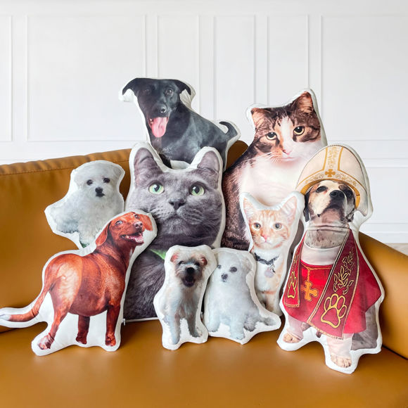 Picture of Custom 3D Pet Pillow｜Personalize With Your Lovely Pet｜Best Gift Idea for Birthday, Thanksgiving, Christmas etc.