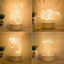 Picture of 3D Illusion LED Night Lights in Various Shapes | Best Gifts Idea for Birthday, Thanksgiving, Christmas etc.