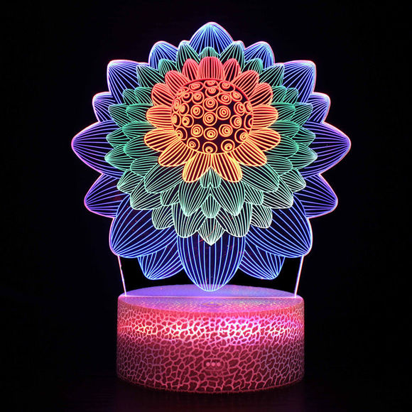 Picture of Colourful 3D Illusion LED Night Lights in Various Shapes | Best Gifts for Kids | Best Gifts Idea for Birthday, Thanksgiving, Christmas etc.
