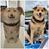 Picture of Custom Handmade Dog Ceramic Urns | Personalised Pet Urn | Pet Ornaments