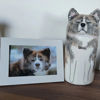 Picture of Custom Handmade Dog Ceramic Urns | Personalised Pet Urn | Pet Ornaments