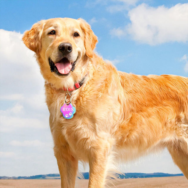 Imagen de Etiqueta personalizada para mascotas con múltiples formas y colores | Personalizada con número de teléfono | El mejor regalo para los amantes de las mascotas