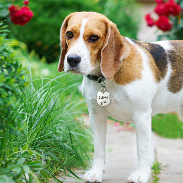 Imagen de Etiqueta personalizada para mascotas con múltiples formas y colores | Personalizada con número de teléfono | El mejor regalo para los amantes de las mascotas