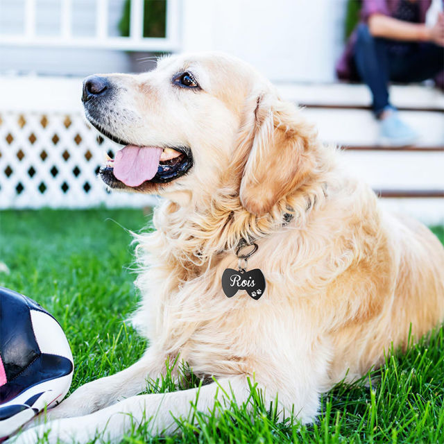 Imagen de Etiqueta personalizada para mascotas con múltiples formas y colores | Personalizada con número de teléfono | El mejor regalo para los amantes de las mascotas