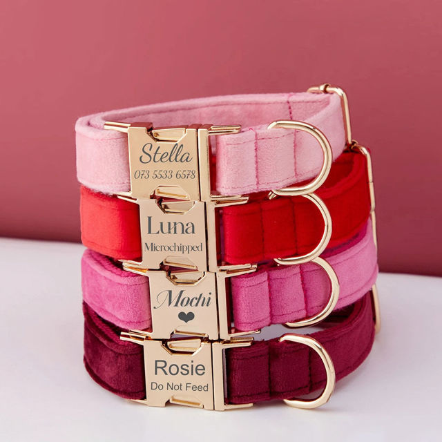 Picture of Personalized Dog Name Collar - Custom Multiple Color Velvet Dog Collar Sets - Engraved Pet Name Tag Metal Buckle - Best Wedding and Christmas Puppy Gifts
