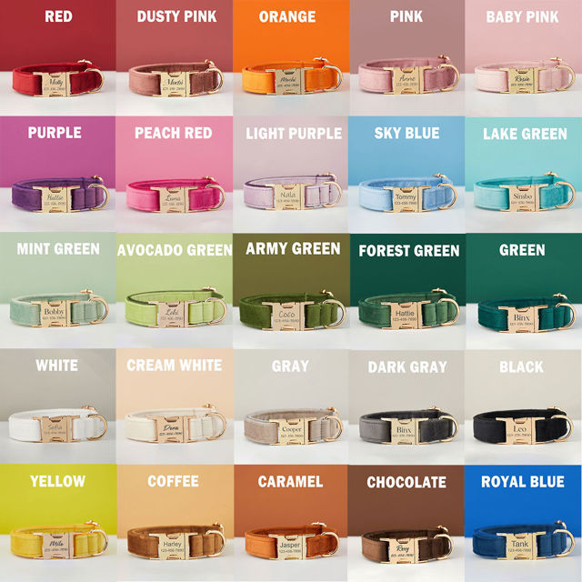 Picture of Personalized Multiple Color Velvet Dog Collar Leash Sets - Custom Engraved Pet Name Plate Metal Buckle - Best Wedding and Christmas Puppy Gifts