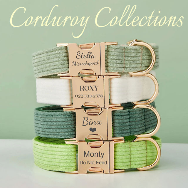 Picture of Personalized Multicolor Corduroy Dog Collar Leash Set - Custom Engraved Pet Name Metal Buckle - Wedding and Christmas Puppy Gifts