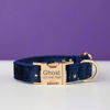 Imagen de Collar de perro personalizado - Collar de terciopelo de varios colores personalizado - Etiqueta con nombre de mascota grabada con hebilla de metal - Los mejores regalos para cachorros para bodas y Navidad