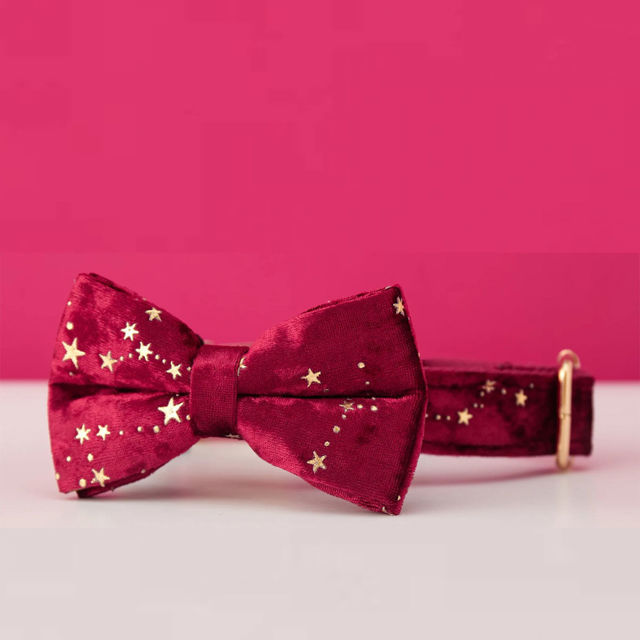 Imagen de Collar de perro personalizado - Collar de terciopelo de varios colores personalizado - Etiqueta con nombre de mascota grabada con hebilla de metal - Los mejores regalos para cachorros para bodas y Navidad