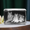 Picture of Custom Photo 3D Laser Crystal: Landscape | Personalized 3D Photo Laser Crystal | Unique Gift for Birthday Wedding Christmas etc.