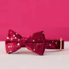 Picture of Personalized Dog Collar Bow Tie Leash Set with Starry Stars - Three Color Optional - Christmas Gifts for Dog