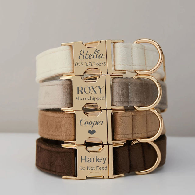 Picture of Personalized Dog Collar Leash Set with Bowtie - Personalized Pet Name Plate Metal Buckle - Multiple Color Velvet Pet Collar - Wedding Puppy Gift