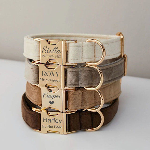 Picture of Personalized Dog Collar Leash Set with Bowtie - Personalized Pet Name Plate Metal Buckle - Multiple Color Velvet Pet Collar - Wedding Puppy Gift