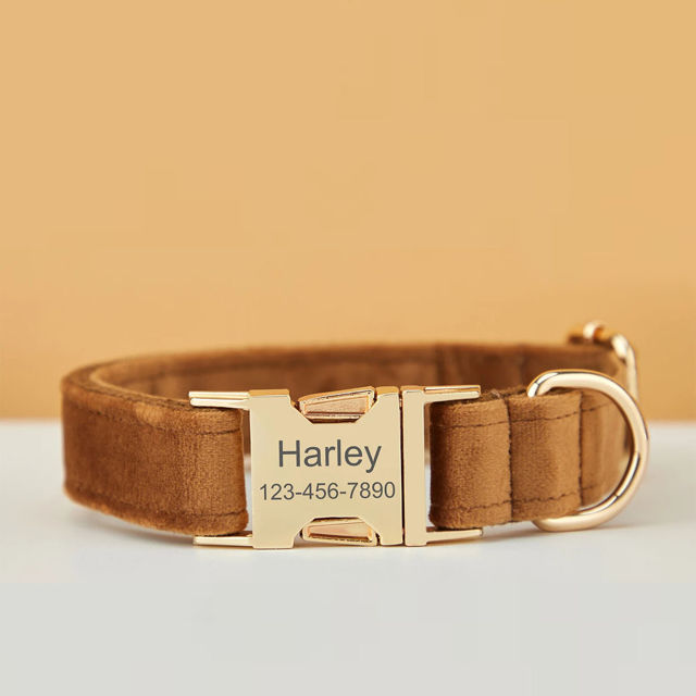 Picture of Personalized Dog Collar Leash Set with Bowtie - Personalized Pet Name Plate Metal Buckle - Multiple Color Velvet Pet Collar - Wedding Puppy Gift