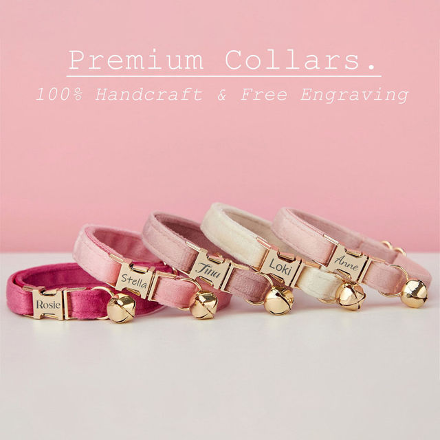 Picture of Personalized Cat Name Collar Set- Personalized Multiple Color Velvet Cat Collar - Engraved Pet Name Tag Metal Buckle - Wedding and Christmas Puppy Gift
