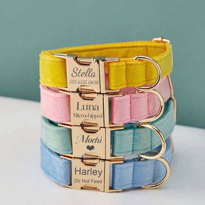 Picture of Personalized Multiple Color Velvet Dog Collar Leash Set - Personalized Engraved Pet Name Plate Metal Buckle - Wedding and Christmas Puppy Gift