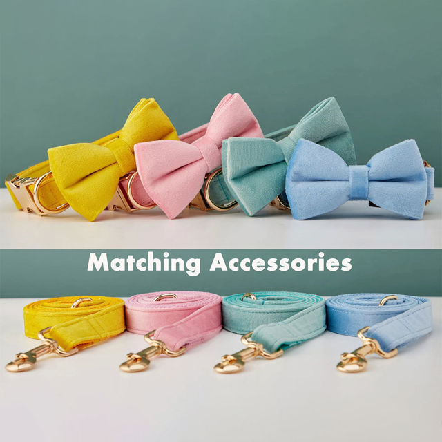 Picture of Personalized Multiple Color Velvet Dog Collar Leash Set - Personalized Engraved Pet Name Plate Metal Buckle - Wedding and Christmas Puppy Gift
