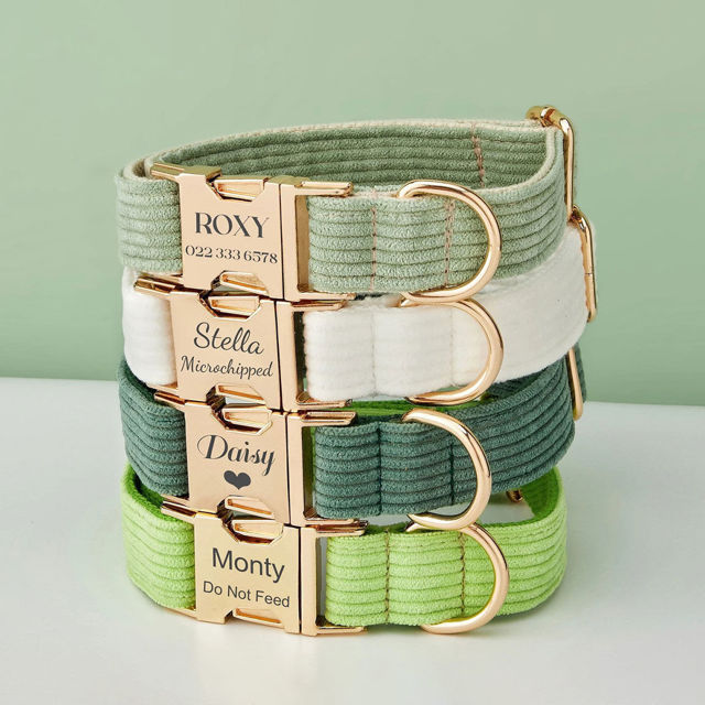 Picture of Personalized Multicolor Corduroy Dog Collar Leash Set - Personalized Engraved Pet Name Metal Buckle - Wedding and Christmas Puppy Gift