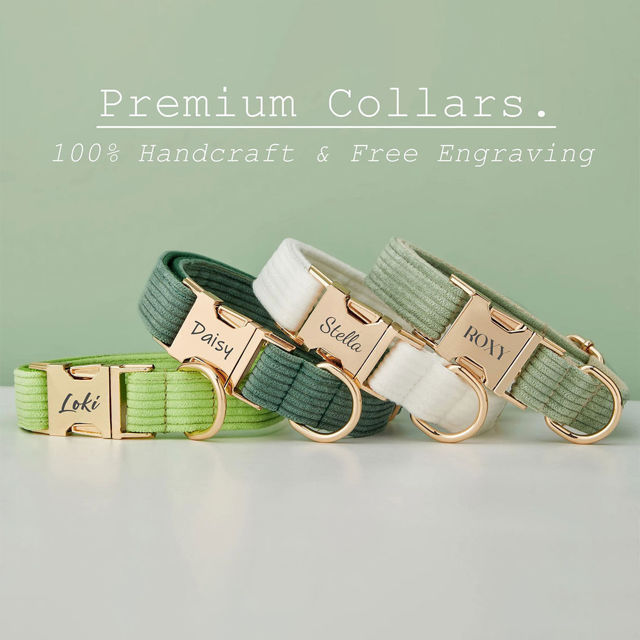 Picture of Personalized Multicolor Corduroy Dog Collar Leash Set - Personalized Engraved Pet Name Metal Buckle - Wedding and Christmas Puppy Gift