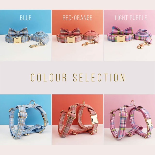 Picture of Personalized Pet Name Collar - 7 Color Grid Series - Engraved Pet Name Square Tag - Personalized Gift for Pets