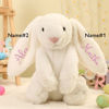 Picture of Personalized Embroidered Security Fluffy Bunny Rabbit with Name - Personalized Comfort Rabbit for Kids Gift - Baby Shower Gift