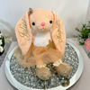 Picture of Personalized Bunny Toys - Custom Name Plush Toys - Custom Ballerina Bunny
