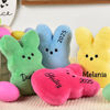 Picture of Personalized Embroidered Fluffy Easter Bunny Rabbit with Name - Personalized Easter Day Gift for Kids