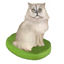 Picture of Custom Bobblehead Doll: Pet Cat Persian Cat Grey