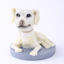 Picture of Custom Bobblehead Doll: White Pet Dog
