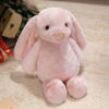 Picture of Personalized Embroidered Plush Rabbit - Custom Name Plush Toy Rabbit - Personalized Cozy Bunny Gift for Kids