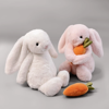 Picture of Personalized Bunny Plush Toy – Personalized Name Embroidery on Ear – Cute Carrot Rabbit Stuffed Animal Gift