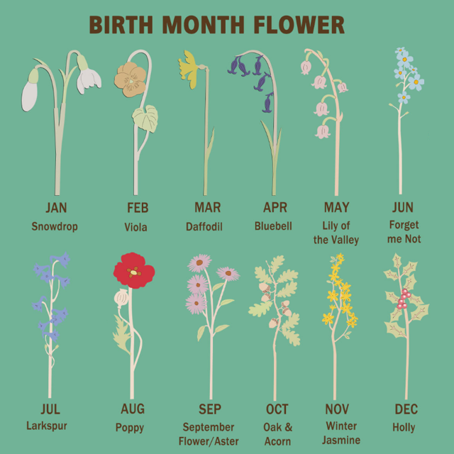 Picture of Personalized Wooden Family Birth Flowers - Grandma's Garden Sign - Personalized Mother's Day & Wedding Anniversary Gift