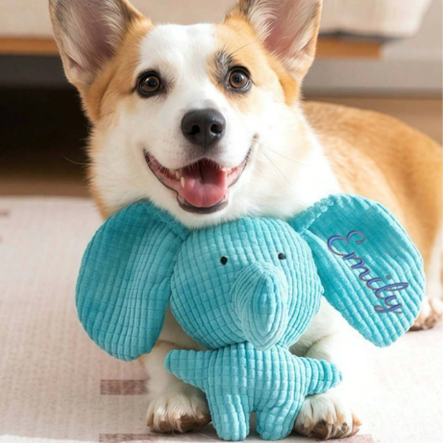 Picture of Custom Embroidered Dog Toys - Customized Pet Supplies for Laughter, Teething, and Bite Resistance